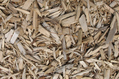 biomass boilers Lionacleit