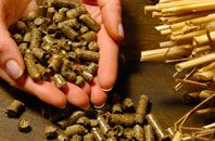 free Lionacleit biomass boiler quotes